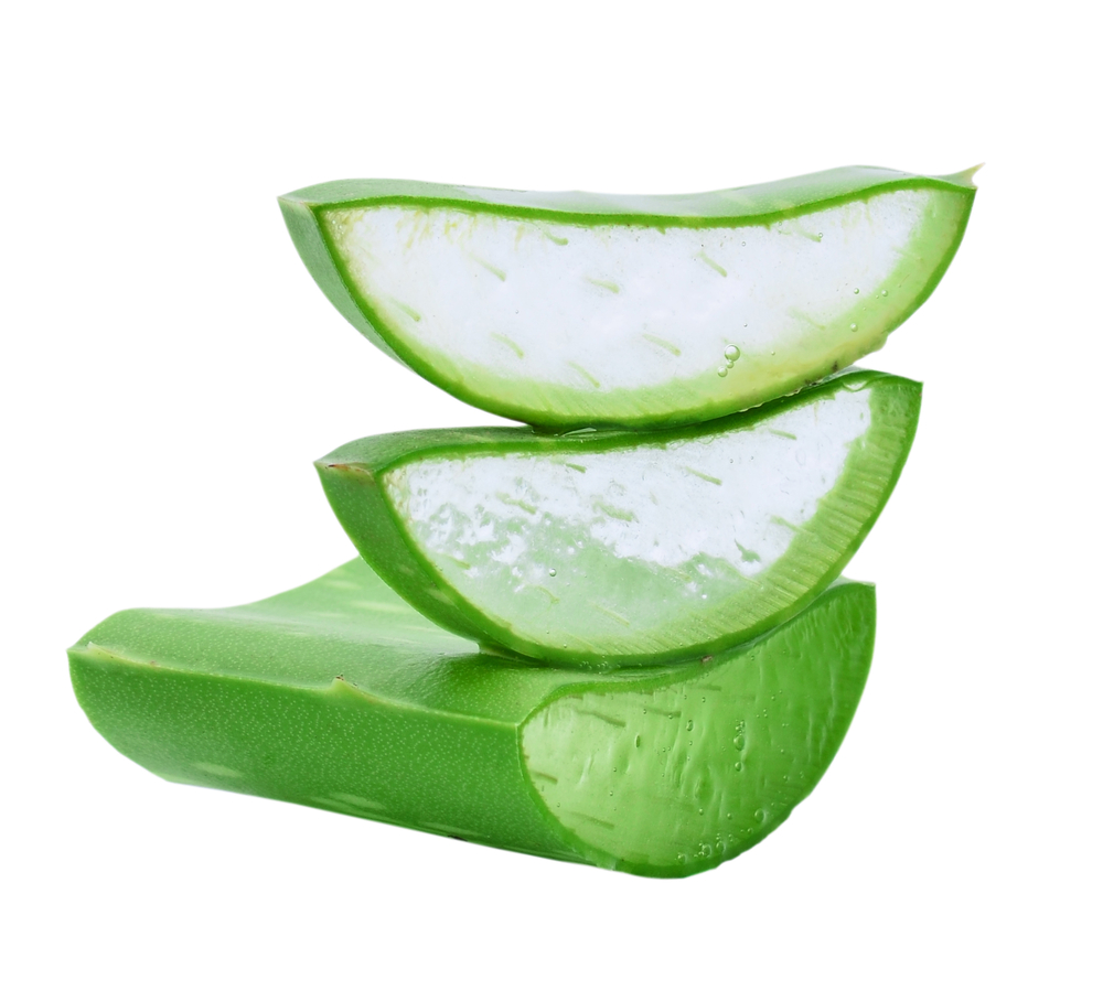 Aloe Vera Has many health benefits 1 is healthier hair and scalp