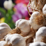 Natural Remedies to help heal during flu season garlic